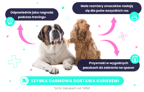 Smaczki dla psa
