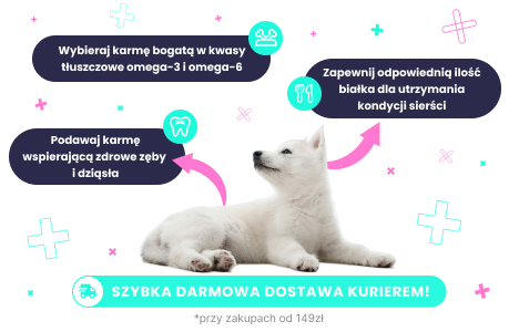 Karma dla białych psów