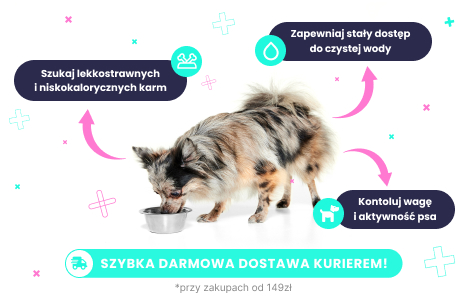 Karma niskotłuszczowa dla psa