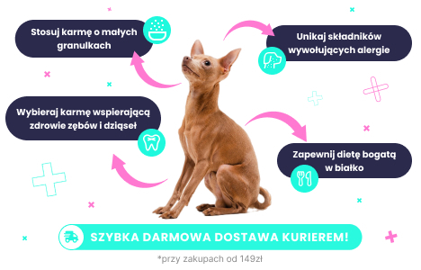 Karma dla chihuahua