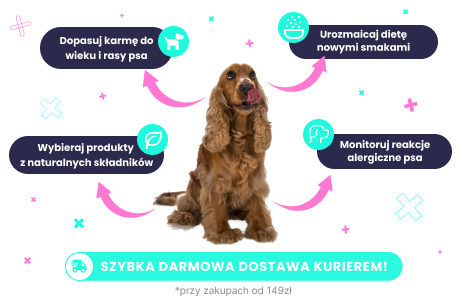 Karma i przysmaki dla psa