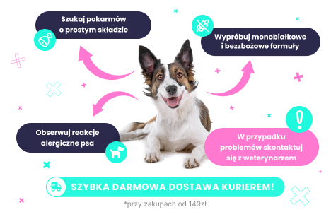 Karma dla psa alergika